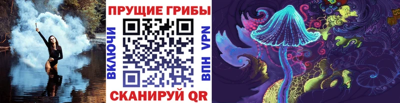 Псилоцибиновые грибы Psilocybe  Сасово 